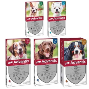 Advantix Fialette