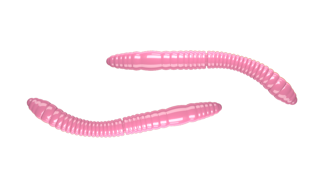 FATTY D’WORM 017 (65mm) AGLIO 10 PEZZI