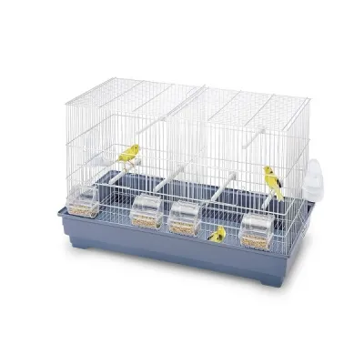 Gabbia Cova 55