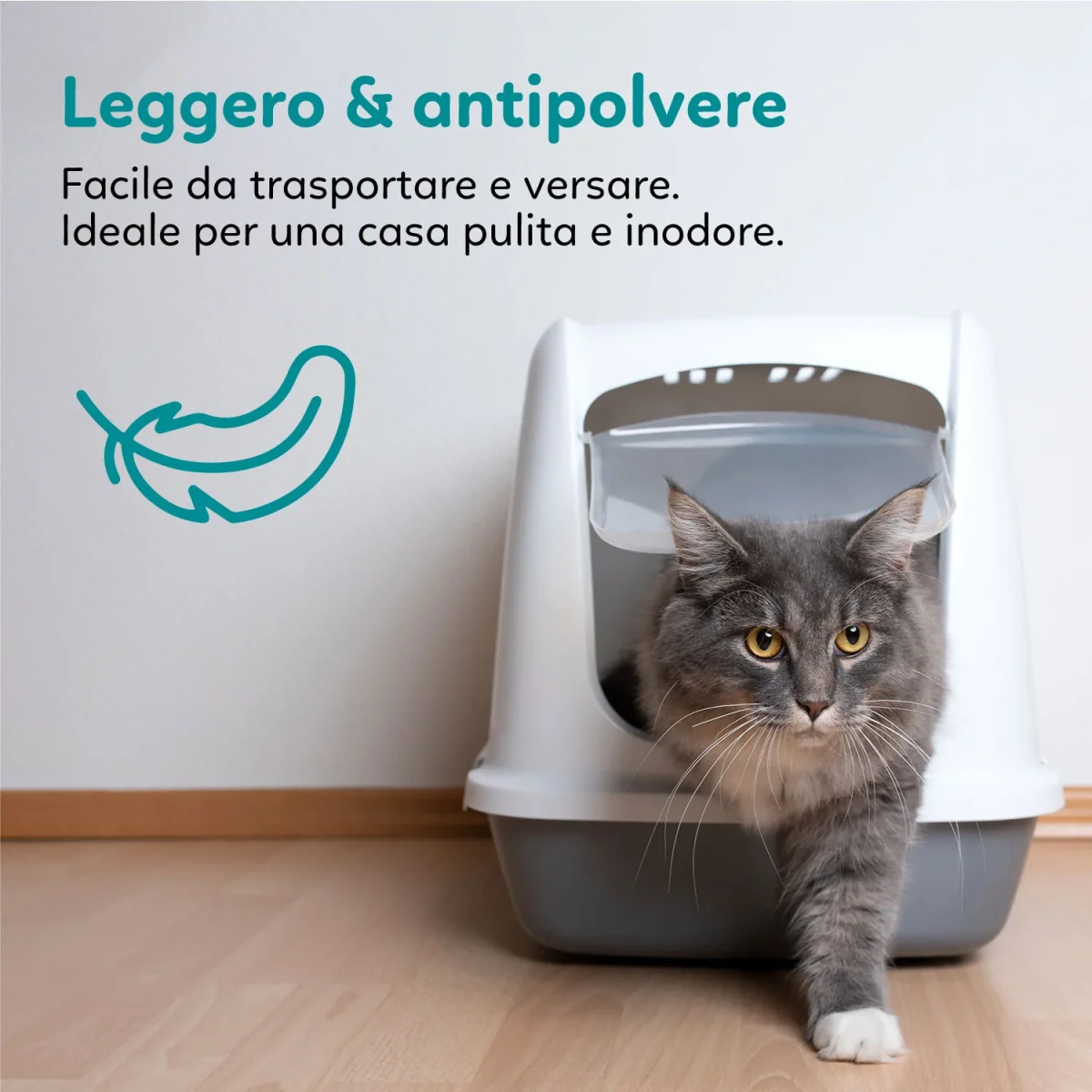 AQPET FRIENDS LETTIERA IN SILICIO CATTY PROFUMAZIONE TALCO - immagine 8