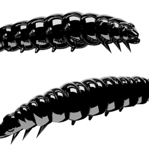 LARVA 040 (30mm) FORMAGGIO 15 PEZZI