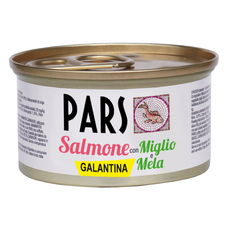 Galantina Salmone con Miglio e Mela g 95